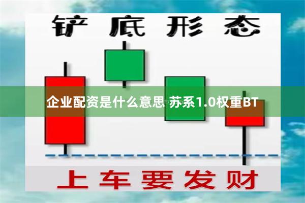 企业配资是什么意思 苏系1.0权重BT