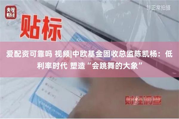 爱配资可靠吗 视频|中欧基金固收总监陈凯杨：低利率时代 塑造“会跳舞的大象”