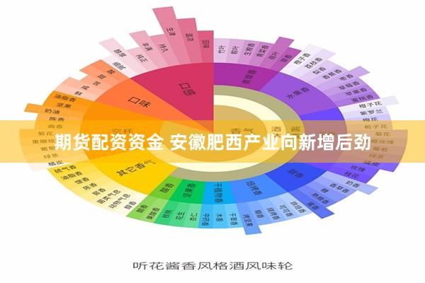 期货配资资金 安徽肥西产业向新增后劲