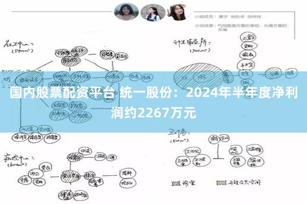 国内股票配资平台 统一股份：2024年半年度净利润约2267万元