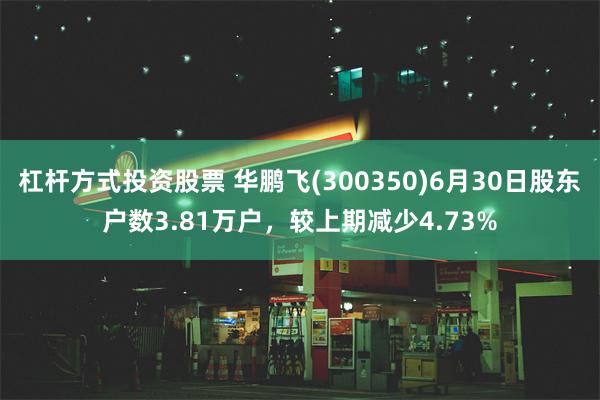 杠杆方式投资股票 华鹏飞(300350)6月30日股东户数3.81万户，较上期减少4.73%