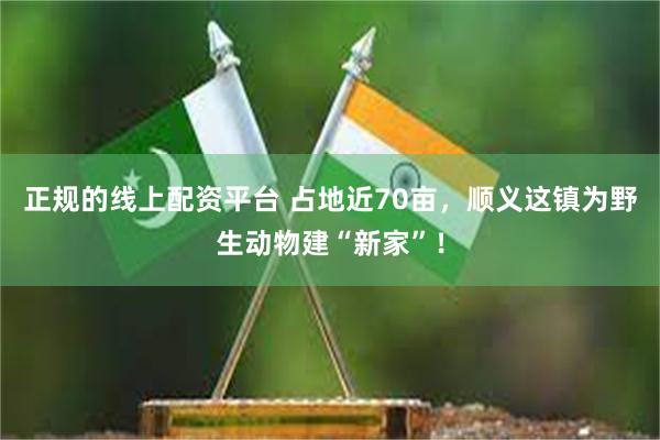 正规的线上配资平台 占地近70亩，顺义这镇为野生动物建“新家”！