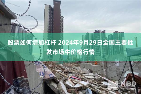 股票如何增加杠杆 2024年9月29日全国主要批发市场牛价格行情