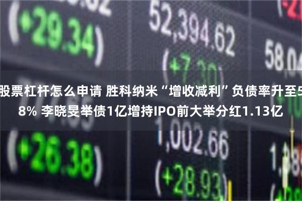 股票杠杆怎么申请 胜科纳米“增收减利”负债率升至58% 李晓旻举债1亿增持IPO前大举分红1.13亿