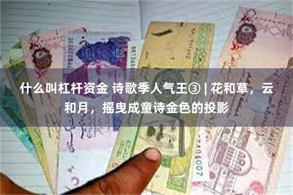 什么叫杠杆资金 诗歌季人气王③ | 花和草，云和月，摇曳成童诗金色的投影