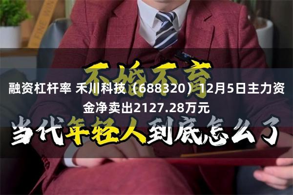 融资杠杆率 禾川科技（688320）12月5日主力资金净卖出2127.28万元