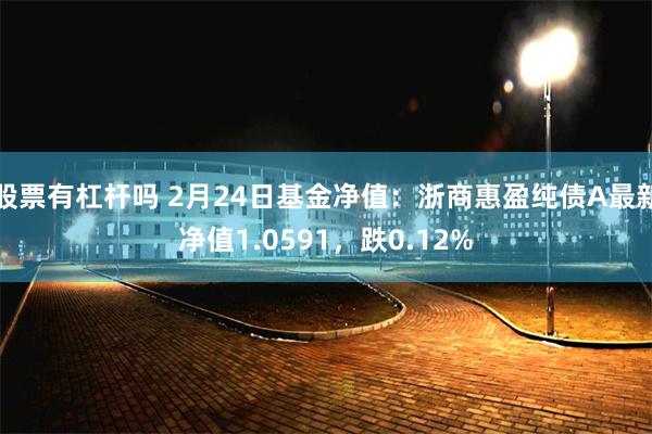 股票有杠杆吗 2月24日基金净值：浙商惠盈纯债A最新净值1.0591，跌0.12%