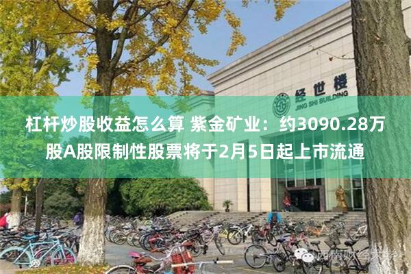 杠杆炒股收益怎么算 紫金矿业：约3090.28万股A股限制性股票将于2月5日起上市流通