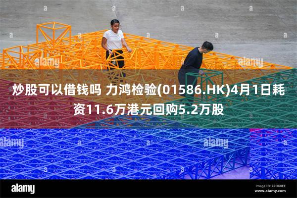 炒股可以借钱吗 力鸿检验(01586.HK)4月1日耗资11.6万港元回购5.2万股